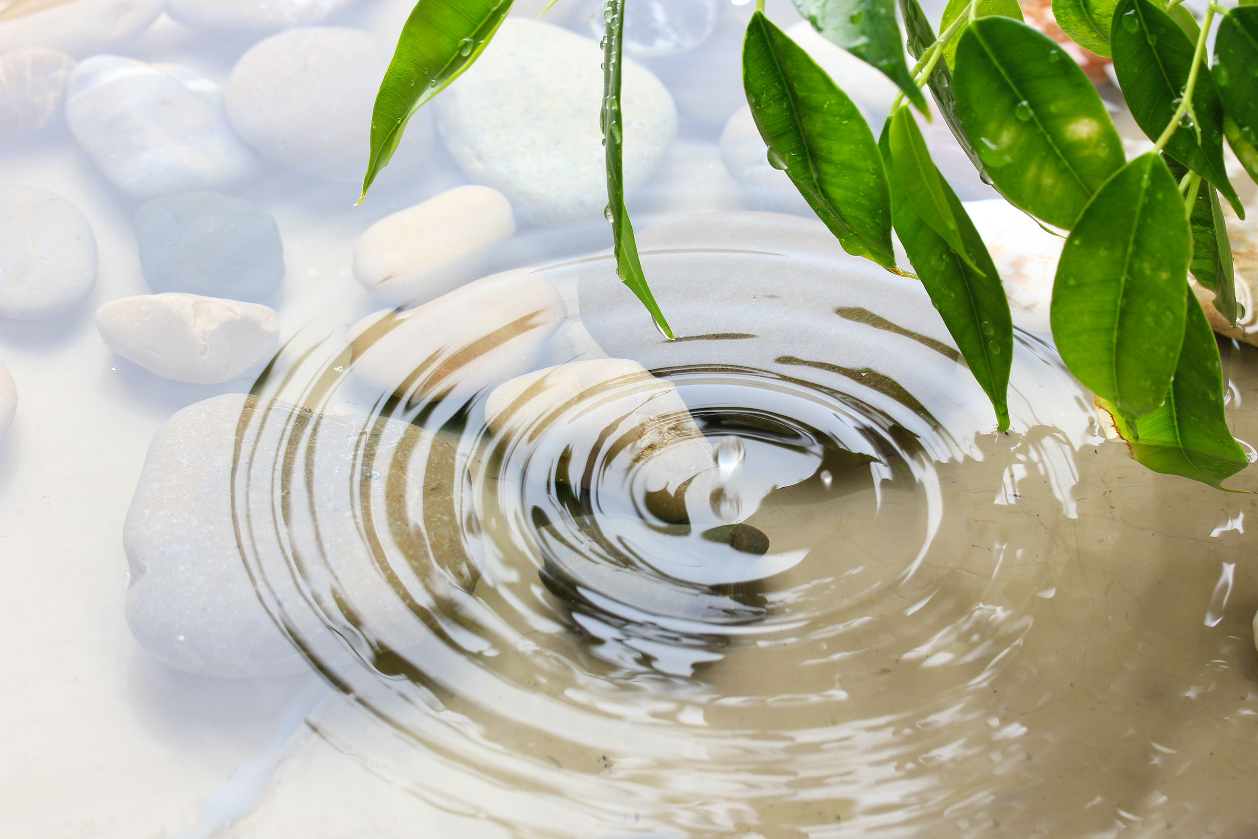 AdobeStock_54700100-WaterRipplesStones woman-holding-red-heart-smiling